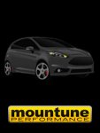 Mountune_Magnetic.jpg