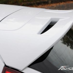 fiesta-st-roof.jpg